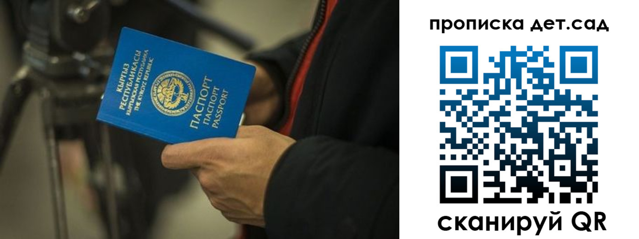 прописка поиск в Курске